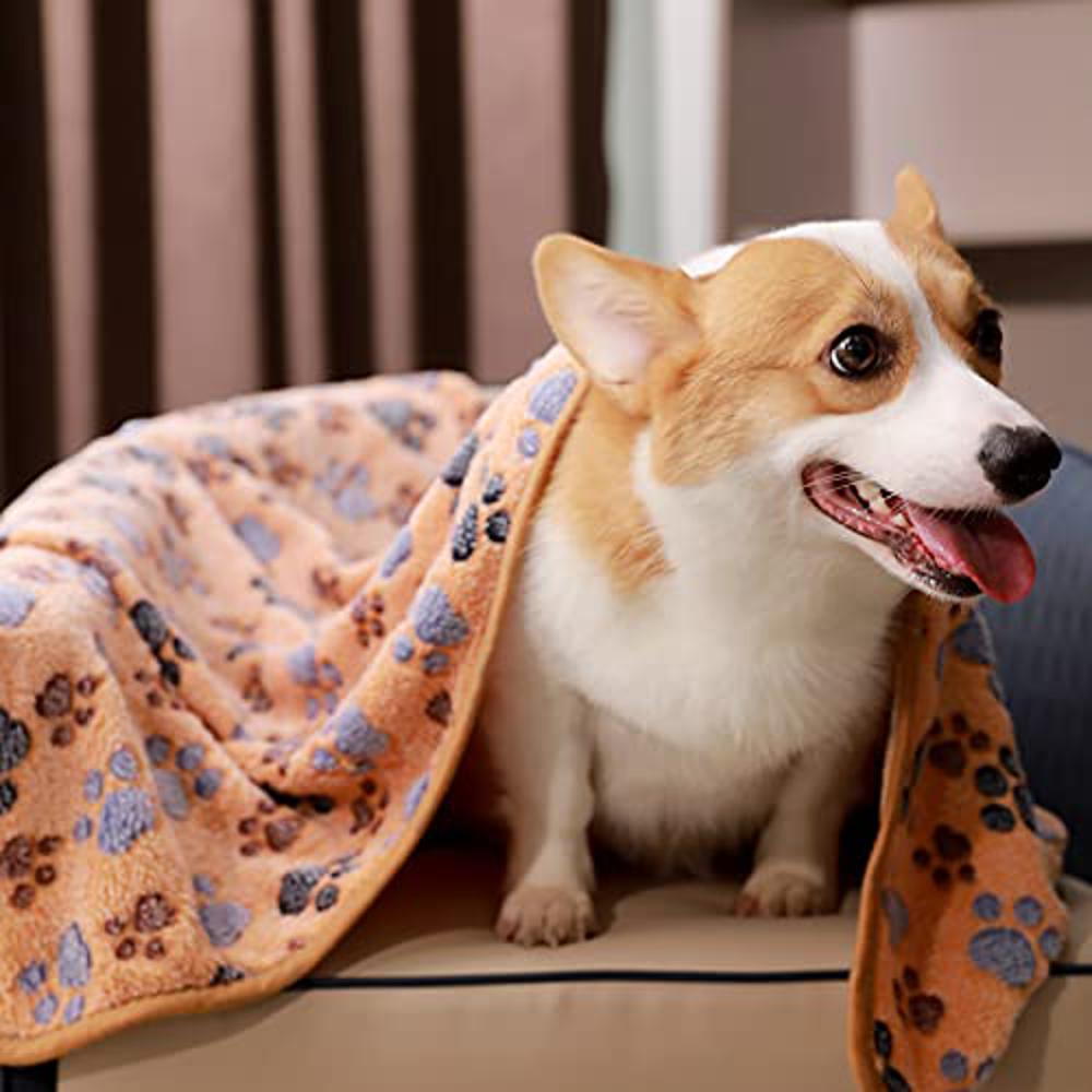 3 Super Soft Fluffy Fleece Blankets with Paw print-DogsTailCircle