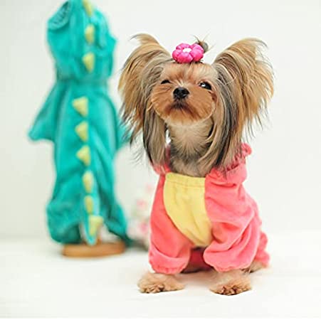 Dinosaur Dog Halloween Costume-DogsTailCircle