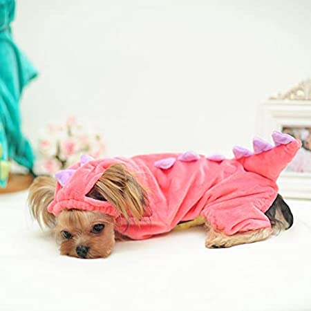 Dinosaur Dog Halloween Costume-DogsTailCircle