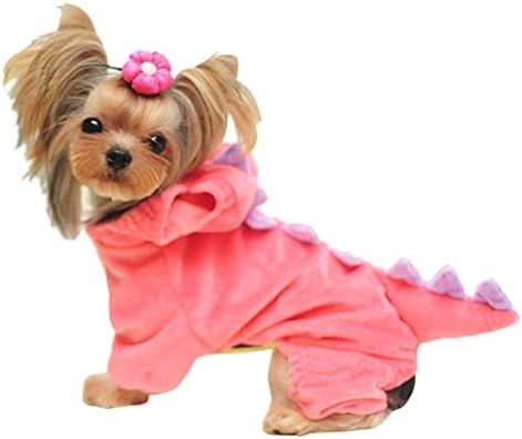 Dinosaur Dog Halloween Costume-DogsTailCircle
