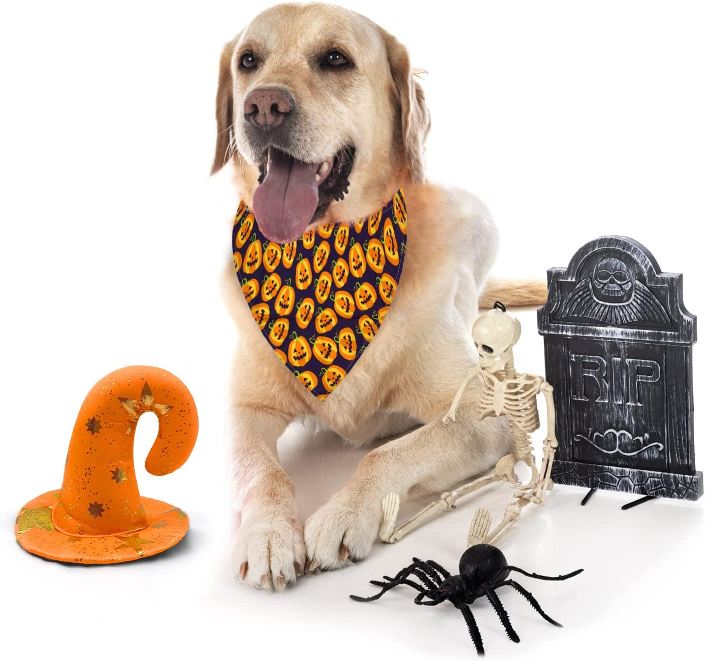Dog Bandana and Witches Hat-DogsTailCircle
