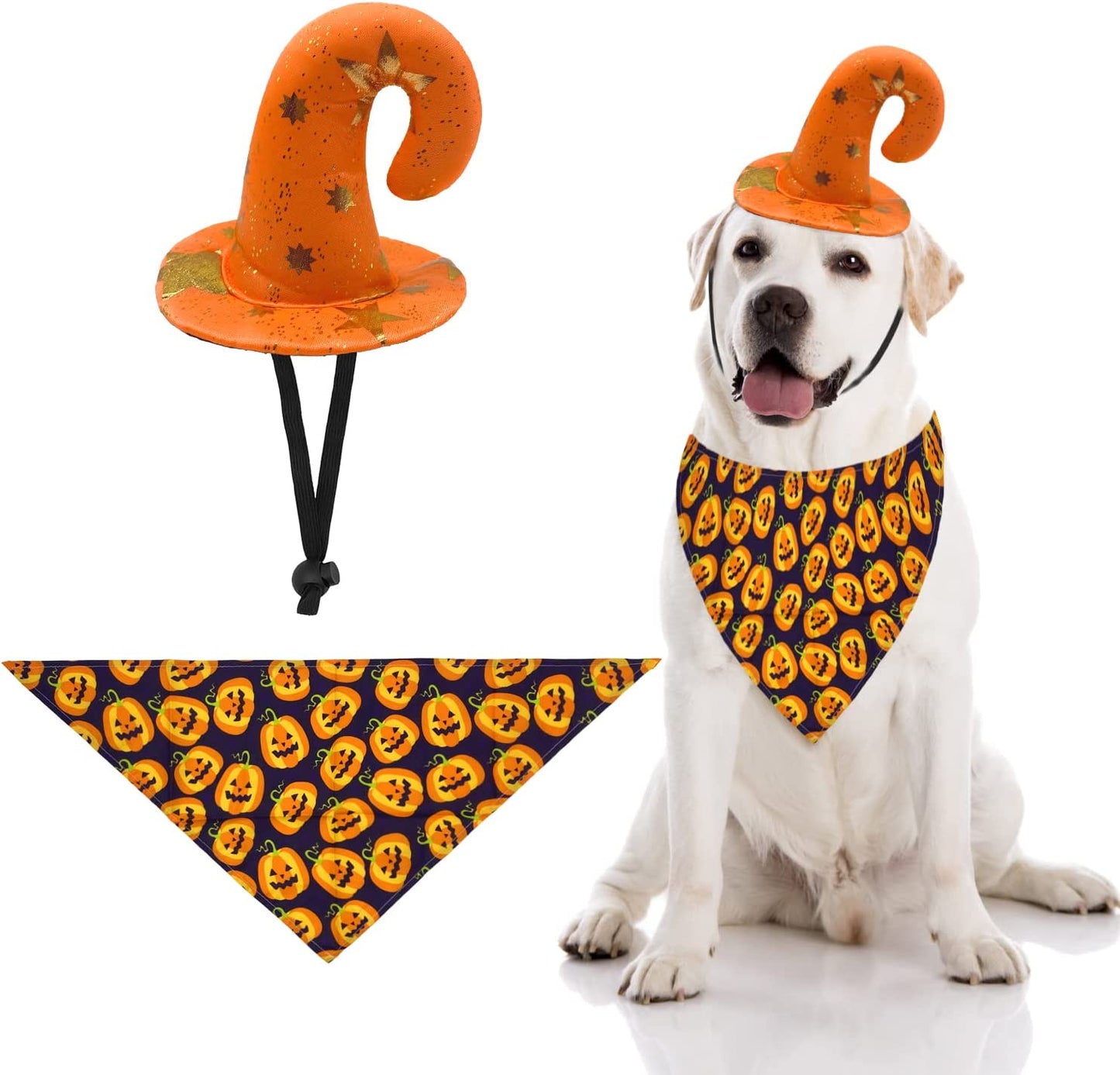 Dog Bandana and Witches Hat-DogsTailCircle