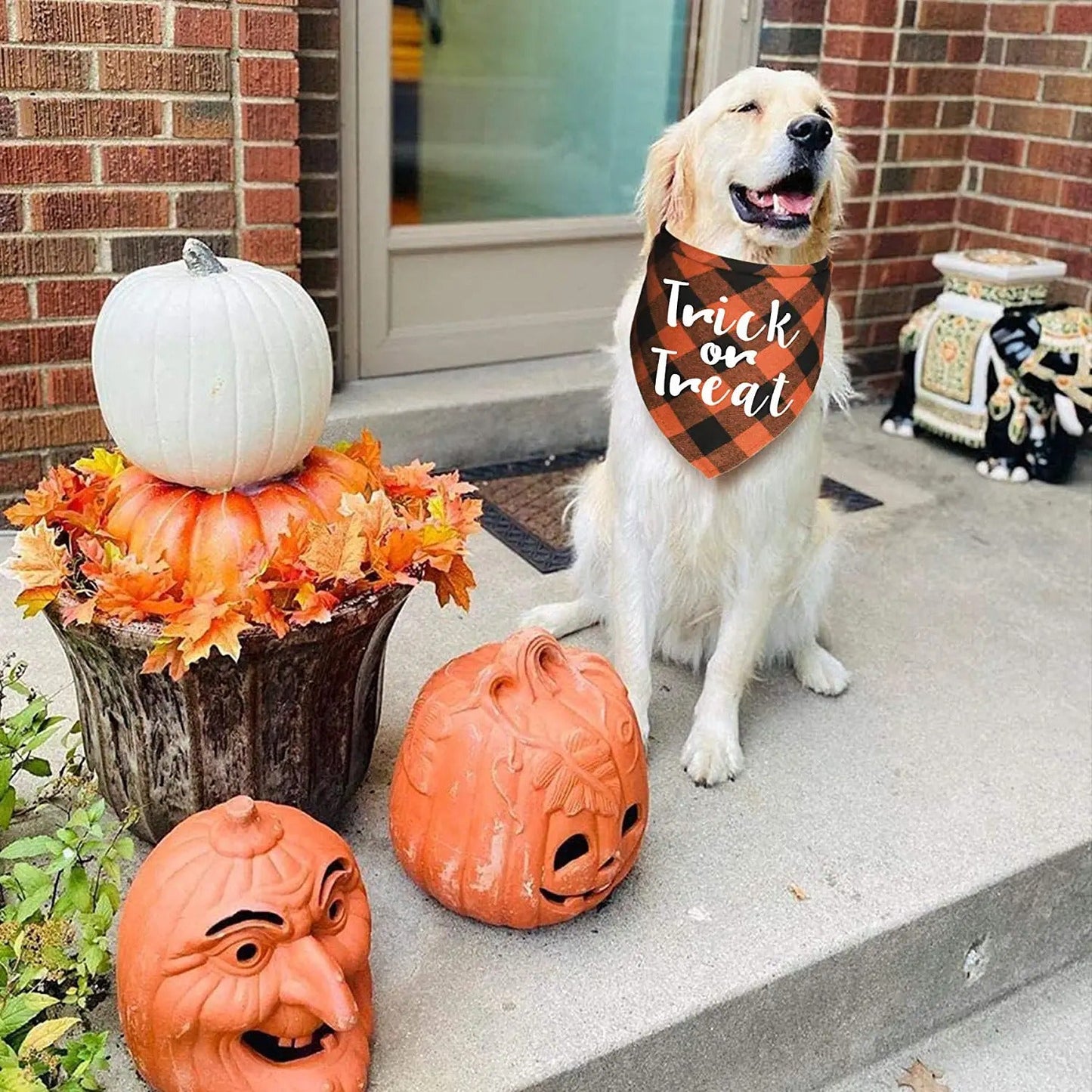 Halloween Dog Bandana - 2 Pack-DogsTailCircle