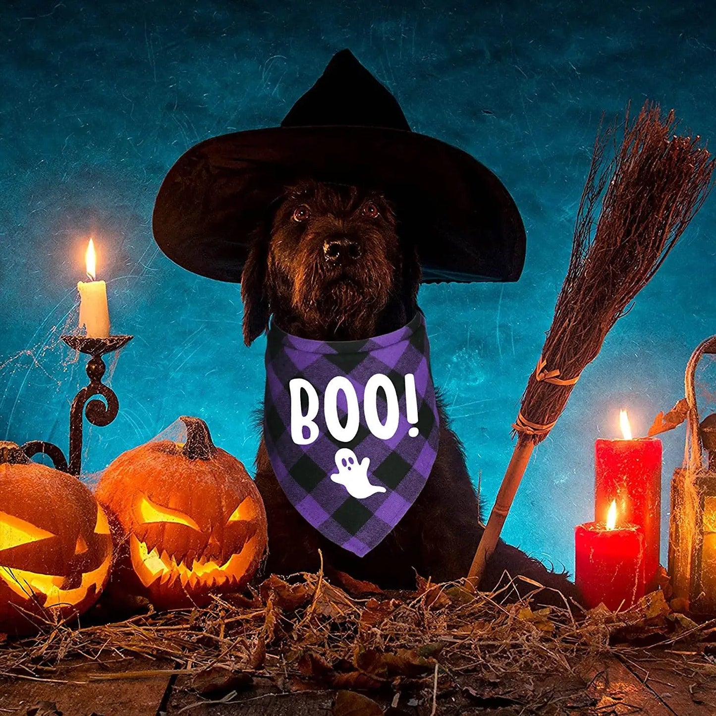 Halloween Dog Bandana - 2 Pack-DogsTailCircle