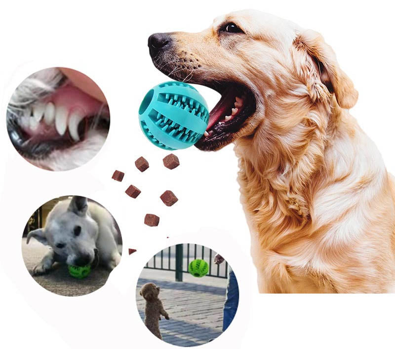 Interactive Treat Dispensing Dog Toy-DogsTailCircle