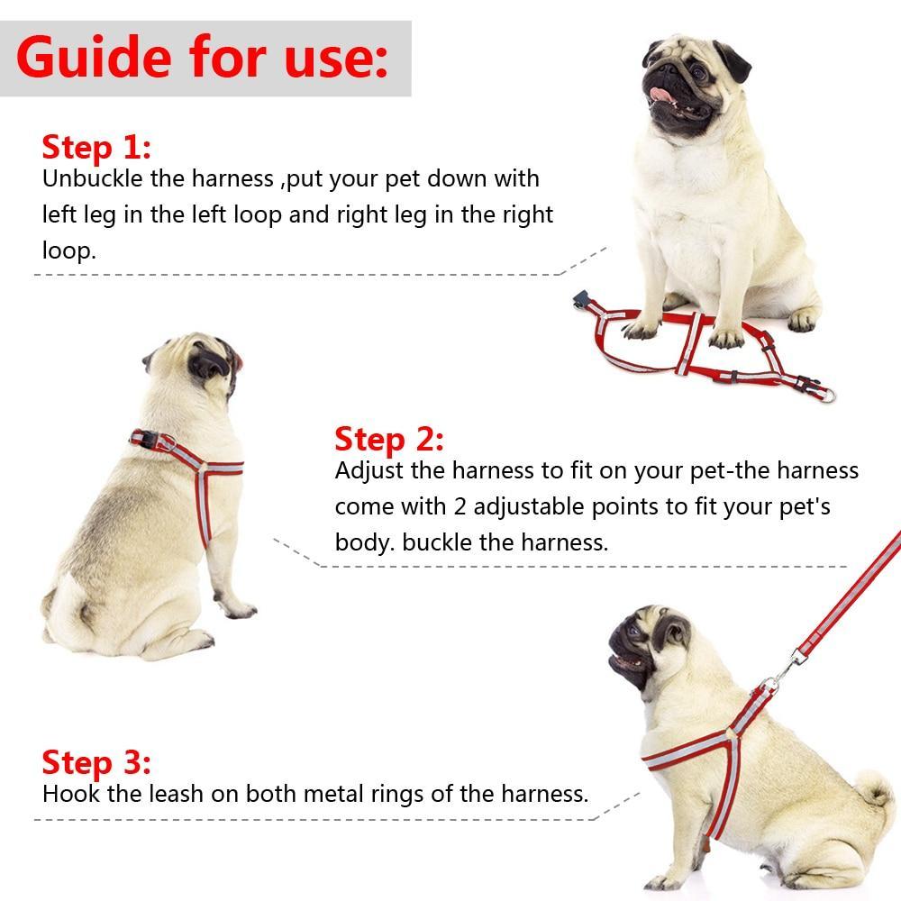 Reflective Dog Harness Leash Set For Small Medium Dogs-DogsTailCircle