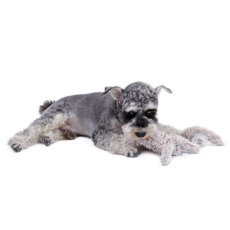 Squeaking Dog Animal Toy-DogsTailCircle