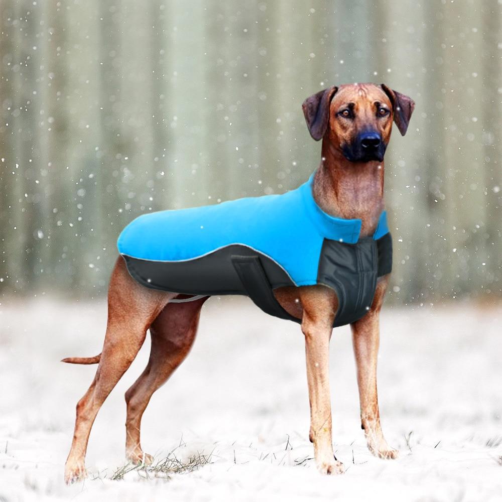 Waterproof Dog Winter Coat Warm Dog Jacket-DogsTailCircle