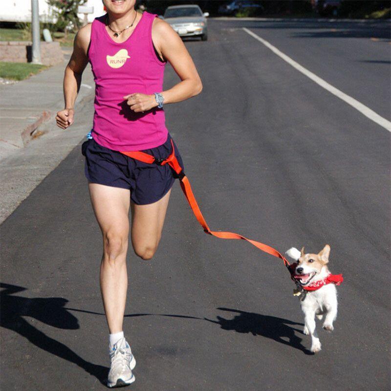 Adjustable Running Walking Waist Dog Leash-DogsTailCircle