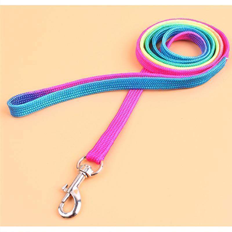 Adjustable Small Pet Dog Rainbow Collar and Leash-DogsTailCircle