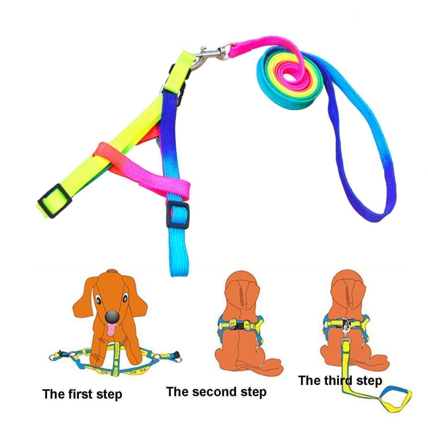 Adjustable Small Pet Dog Rainbow Collar and Leash-DogsTailCircle