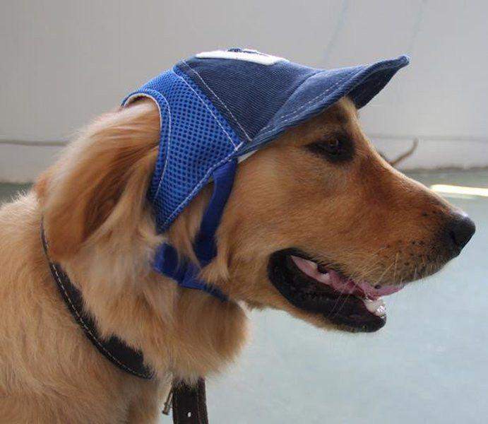 Breathable UV Protection Large Dog Baseball Hat-DogsTailCircle