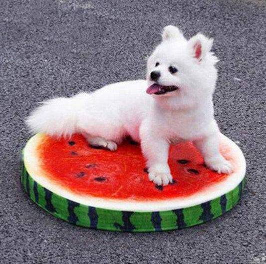 Cute 3D Fruit Dog Cushion Mats Beds-DogsTailCircle
