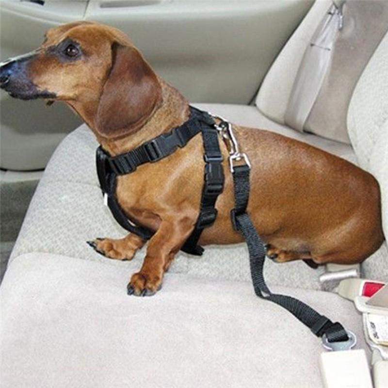 Dog Car Seat Belt Leash-DogsTailCircle