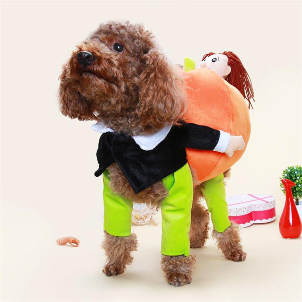 Dog Carrying a Pumpkin Costume for Small Dogs-DogsTailCircle