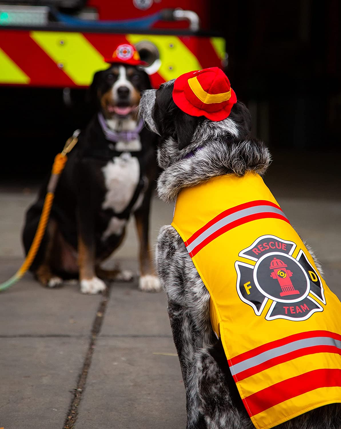 Dog Firefighter Costume-DogsTailCircle