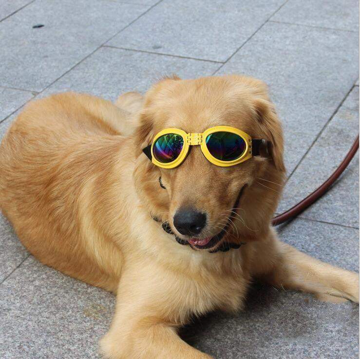 Foldable Dog UV Protection Sunglasses-DogsTailCircle