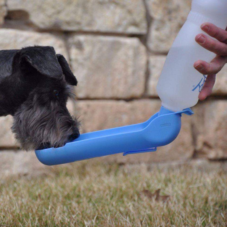 Foldable Dog Water Drinking Bowl-DogsTailCircle