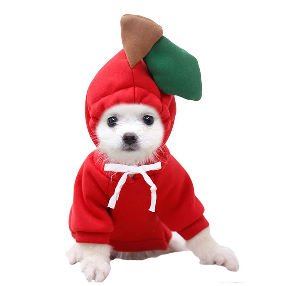 Fruit Styled Dog Hoodie-DogsTailCircle