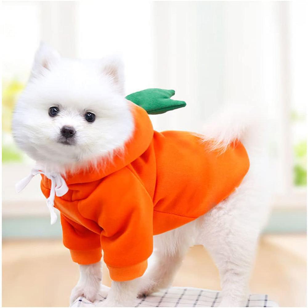 Fruit Styled Dog Hoodie-DogsTailCircle