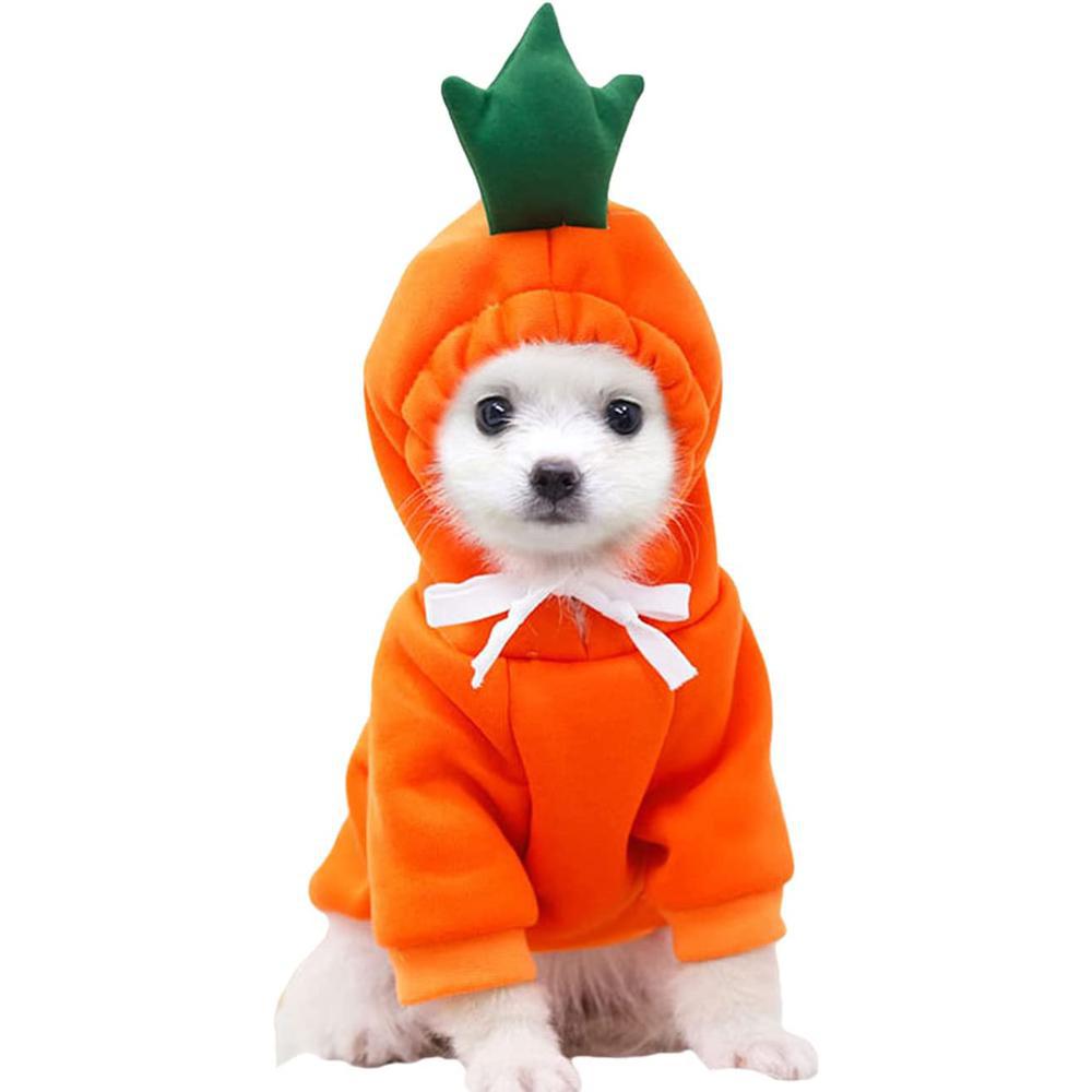 Fruit Styled Dog Hoodie-DogsTailCircle