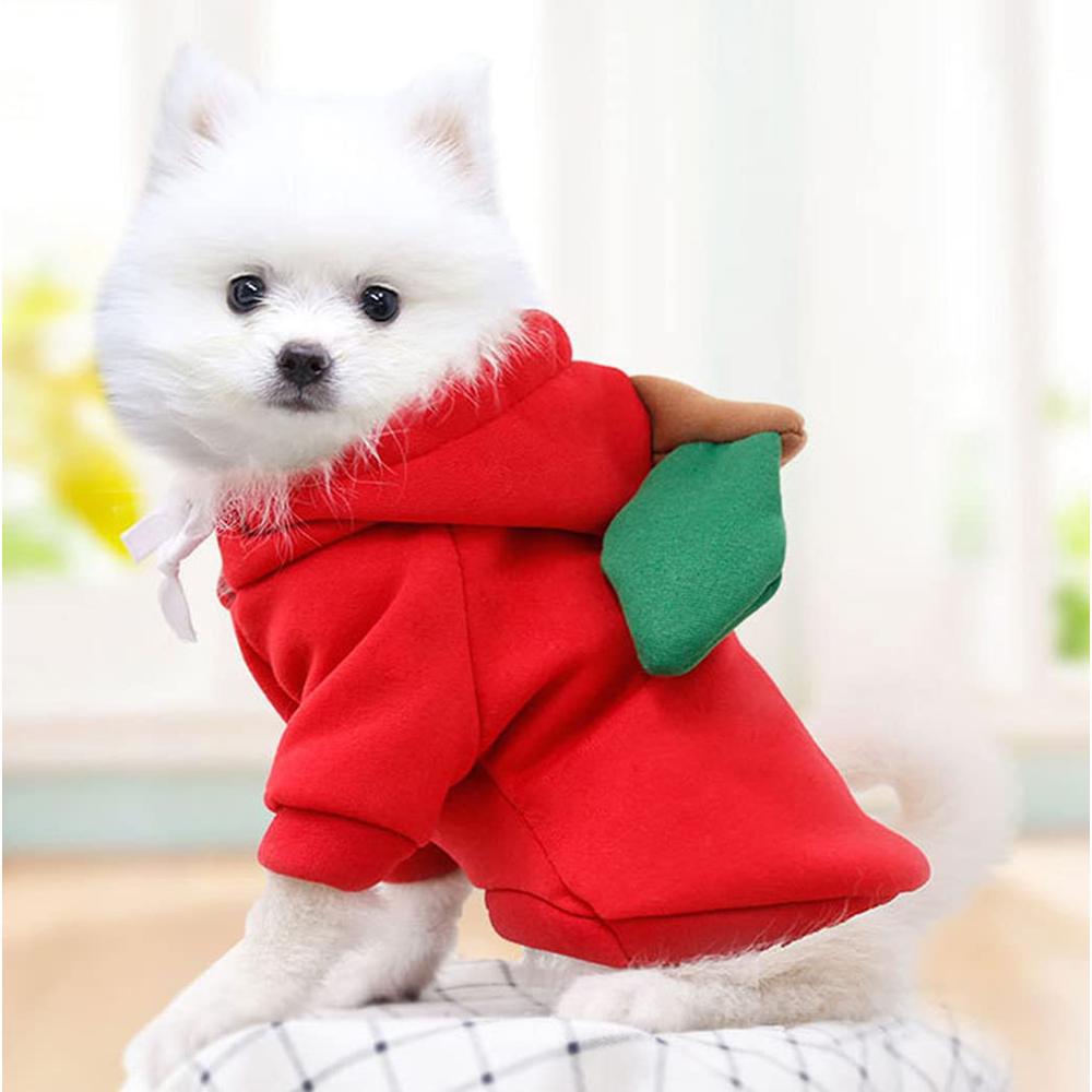 Fruit Styled Dog Hoodie-DogsTailCircle