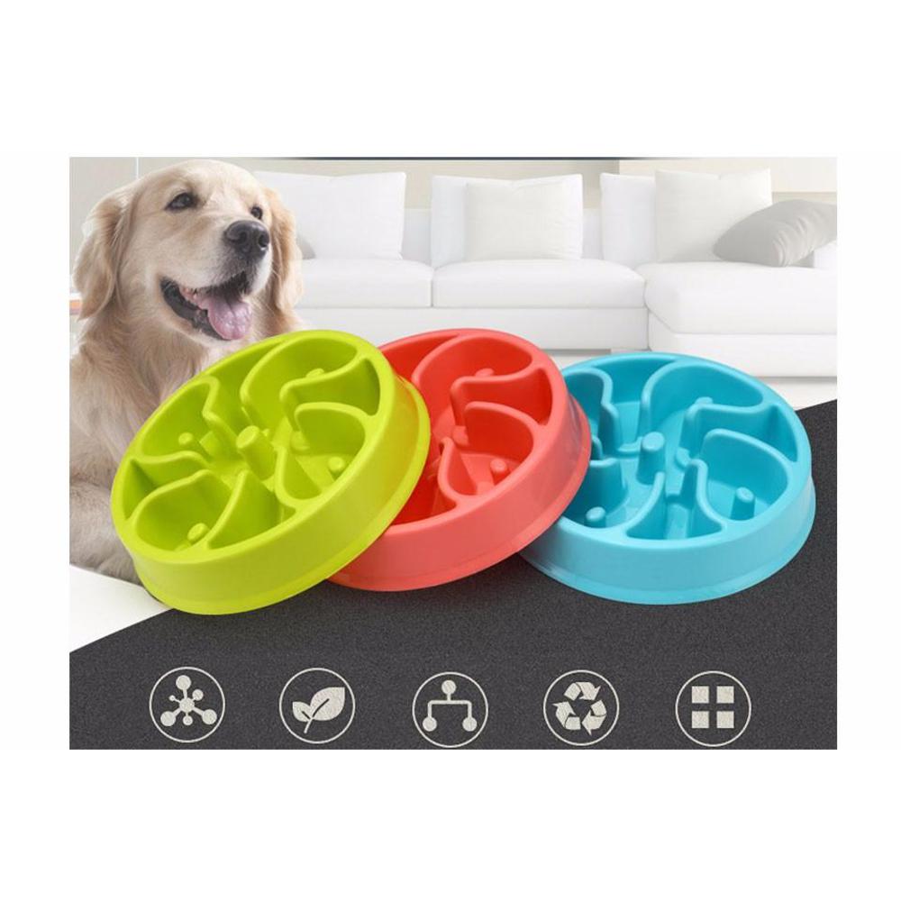 Fun Slow Feeder Dog Bowl-DogsTailCircle