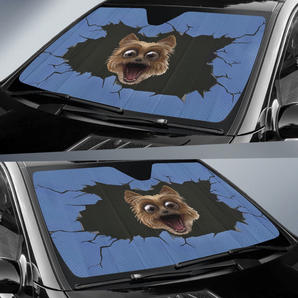 Funny Dog Sun Shades-DogsTailCircle