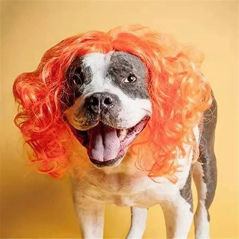 Funny Dog Wigs - Great for Halloween - Multiple Colors-DogsTailCircle