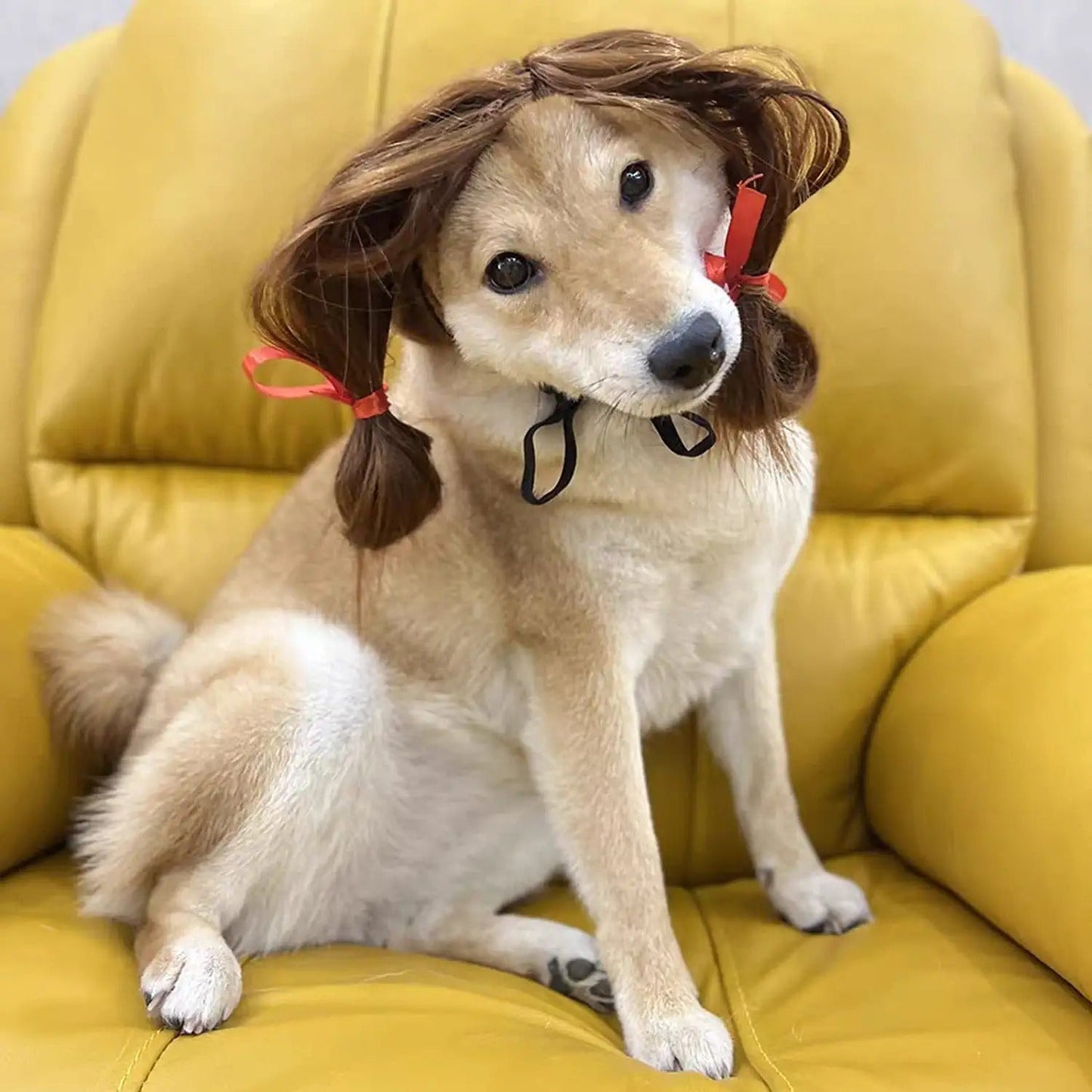 Funny Dog Wigs - Great for Halloween - Multiple Colors-DogsTailCircle