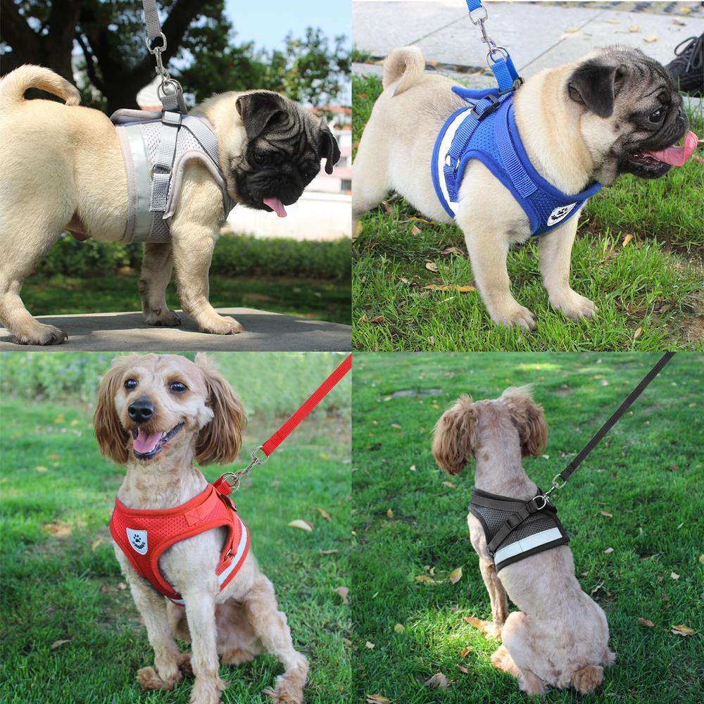 Mesh Harness and Leash with Reflection for Small Medium Dogs-DogsTailCircle