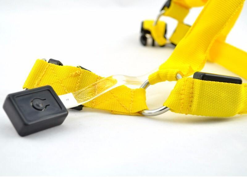 Nylon Dog harness Safety LED Flashing Light Harness-DogsTailCircle