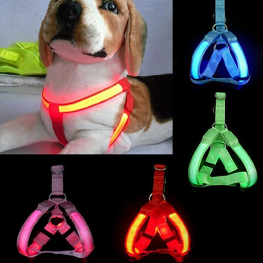Nylon Dog harness Safety LED Flashing Light Harness-DogsTailCircle