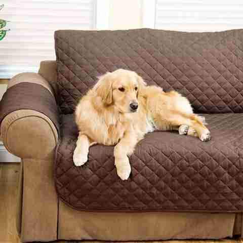 Quilted Waterproof Sofa Slip Cover-DogsTailCircle
