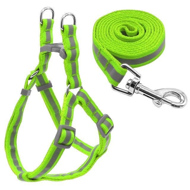 Reflective Dog Harness Leash Set For Small Medium Dogs-DogsTailCircle