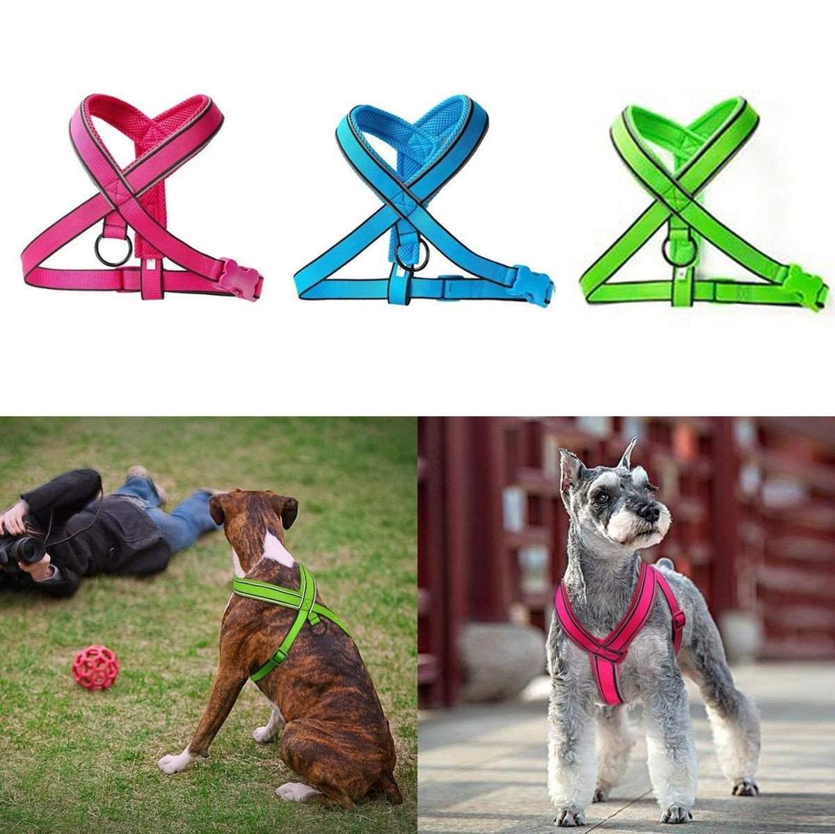 Reflective Dog Harness Training Vest-DogsTailCircle