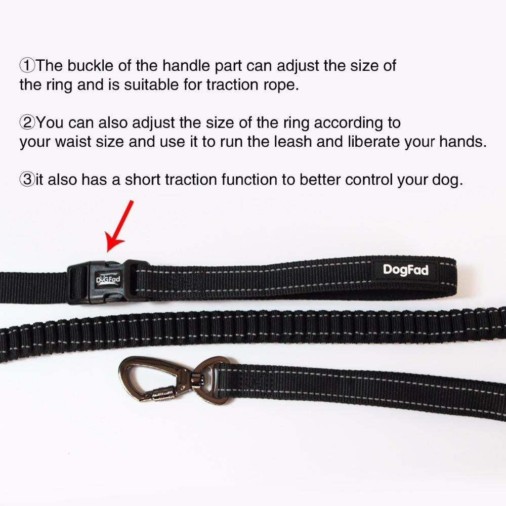 Shock Absorbing Anti-Pull Reflective Dog Leash-DogsTailCircle