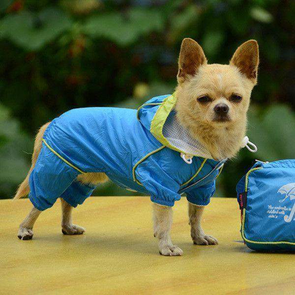 Small Dog Waterproof Raincoat-DogsTailCircle