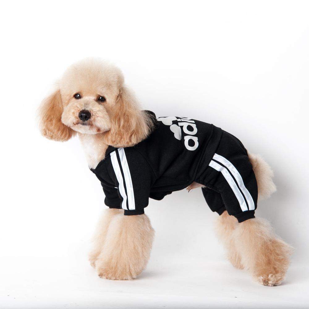 Soft Small Dog Sports Hoodie-DogsTailCircle