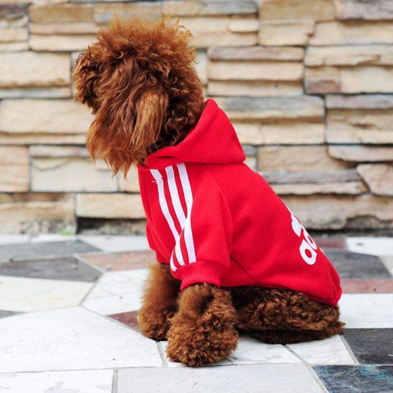 Soft Small Dog Sports Hoodie-DogsTailCircle