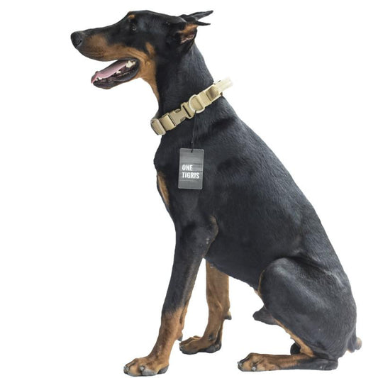 Tactical Dog Collar with Handle & Buckles-DogsTailCircle