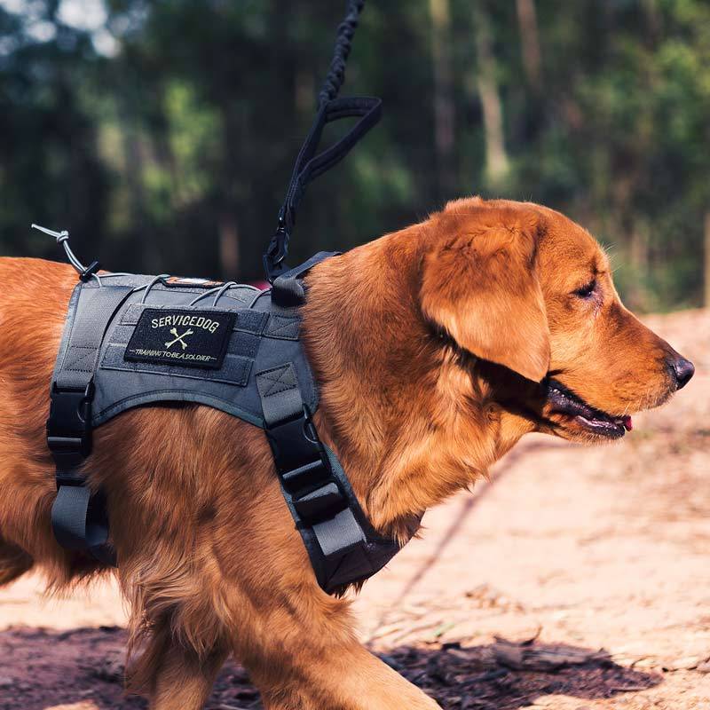 Tactical Dog Harness Vest for Walking Hiking Hunting - Fire Watcher Model-DogsTailCircle