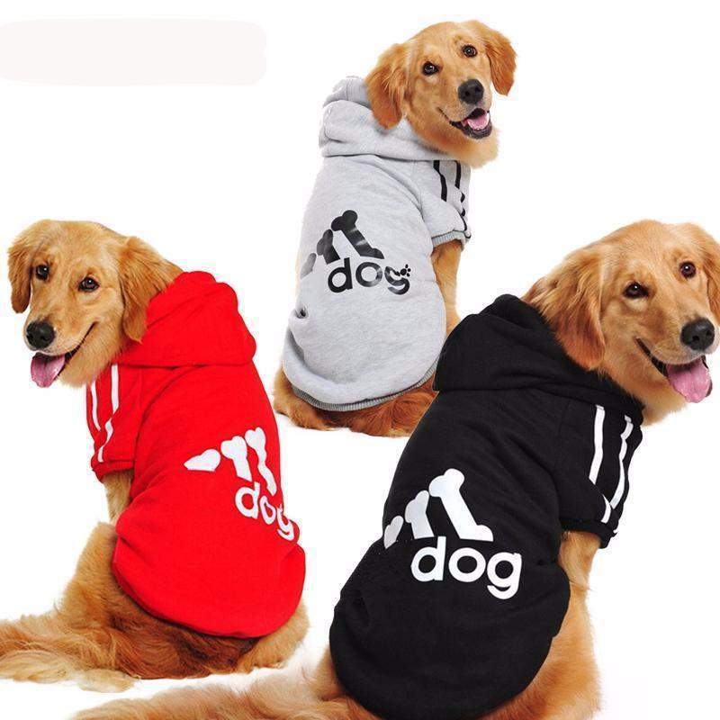 Warm Medium Big Dog Sports Hoodie-DogsTailCircle