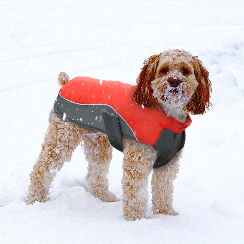 Waterproof Dog Winter Coat Warm Dog Jacket-DogsTailCircle