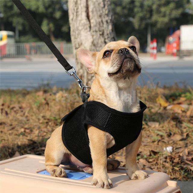 Adjustable Soft Breathable Dog Vest-DogsTailCircle