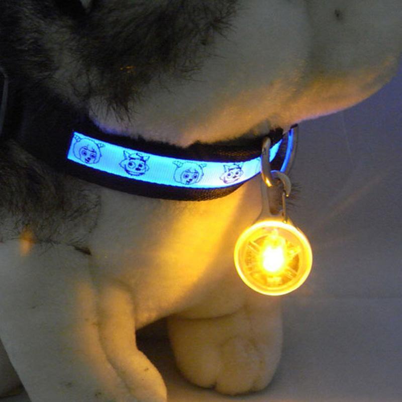 Bright LED Night Safety Flash Light-DogsTailCircle