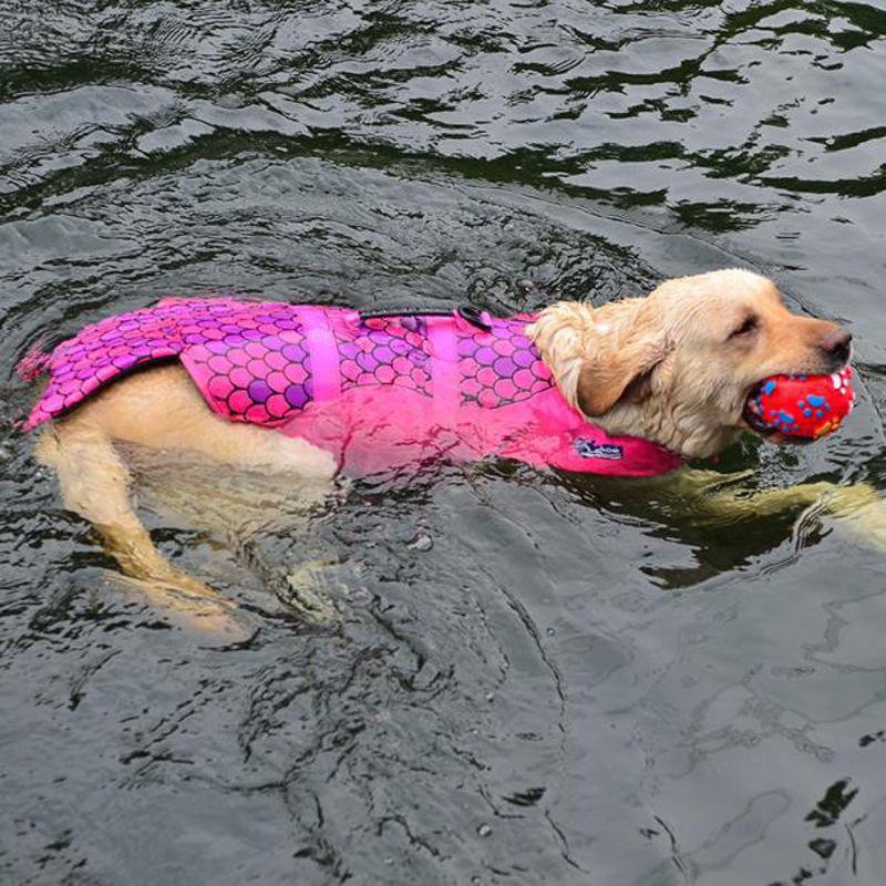Dog Life Jacket Safety Wear - Clownfish Mermaid Shark-DogsTailCircle