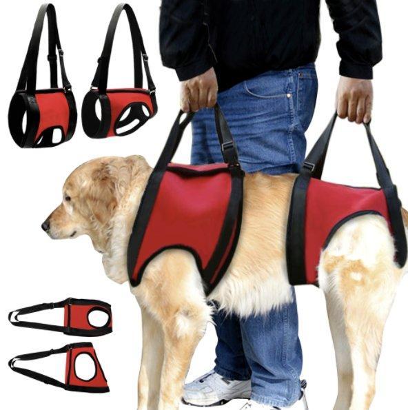 Front and/or Rear Dog Lift Harness With Handle-DogsTailCircle