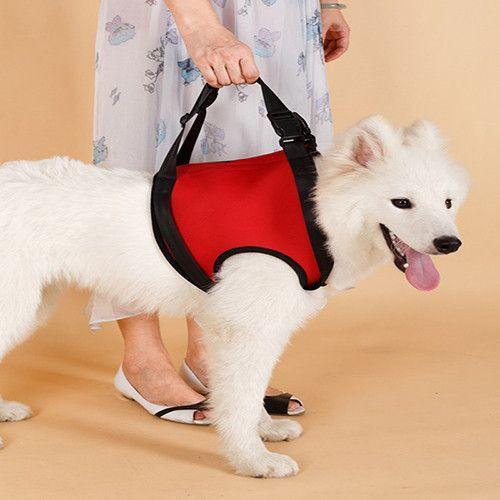 Front and/or Rear Dog Lift Harness With Handle-DogsTailCircle