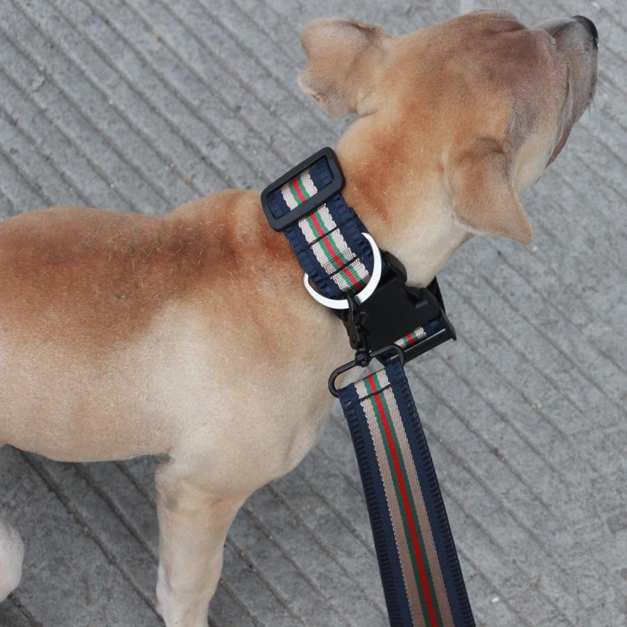 High Quality Reflective Easy On Dog Collar And Leash-DogsTailCircle